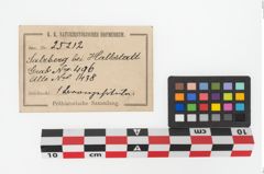 Etiketten zu Bronzesitula (NHMW-PRAE-025212)